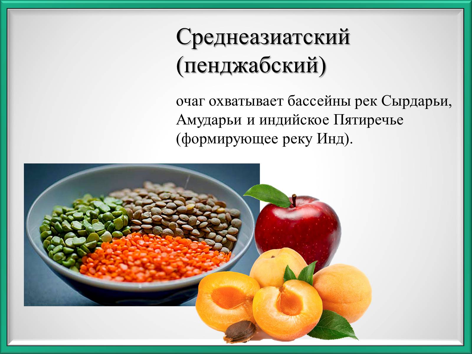 Презентація на тему «Центры происхождения культурных растений по Вавилову» - Слайд #8