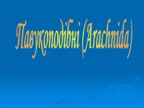 Презентація на тему «Павукоподібні (Arachnida)»