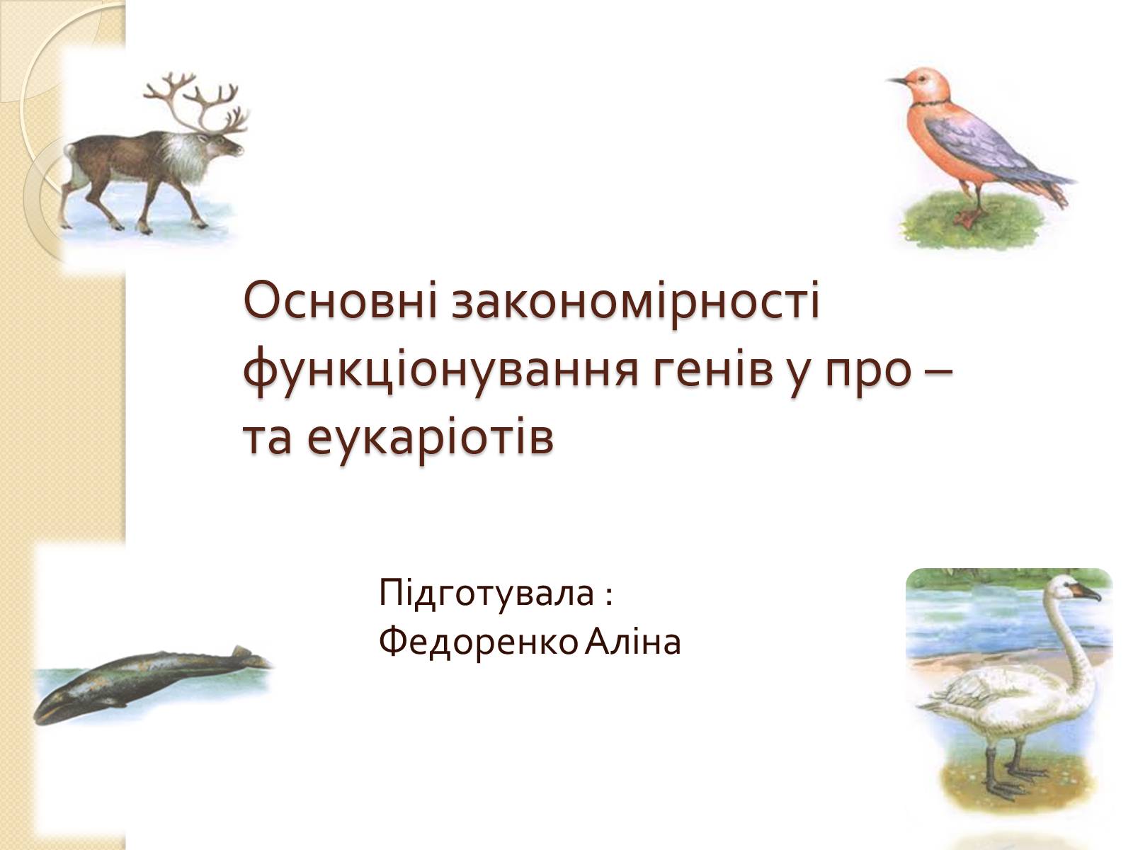 Презентація на тему «Основні закономірності функціонування генів у про – та еукаріотів» (варіант 4) - Слайд #1