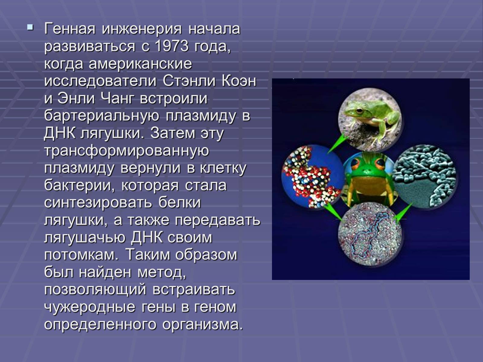 Генная инженерия где учиться. Генная инженерия. Биотехнология и генная инженерия. Презентация на тему генная инженерия. Генетическая (генная) инженерия.