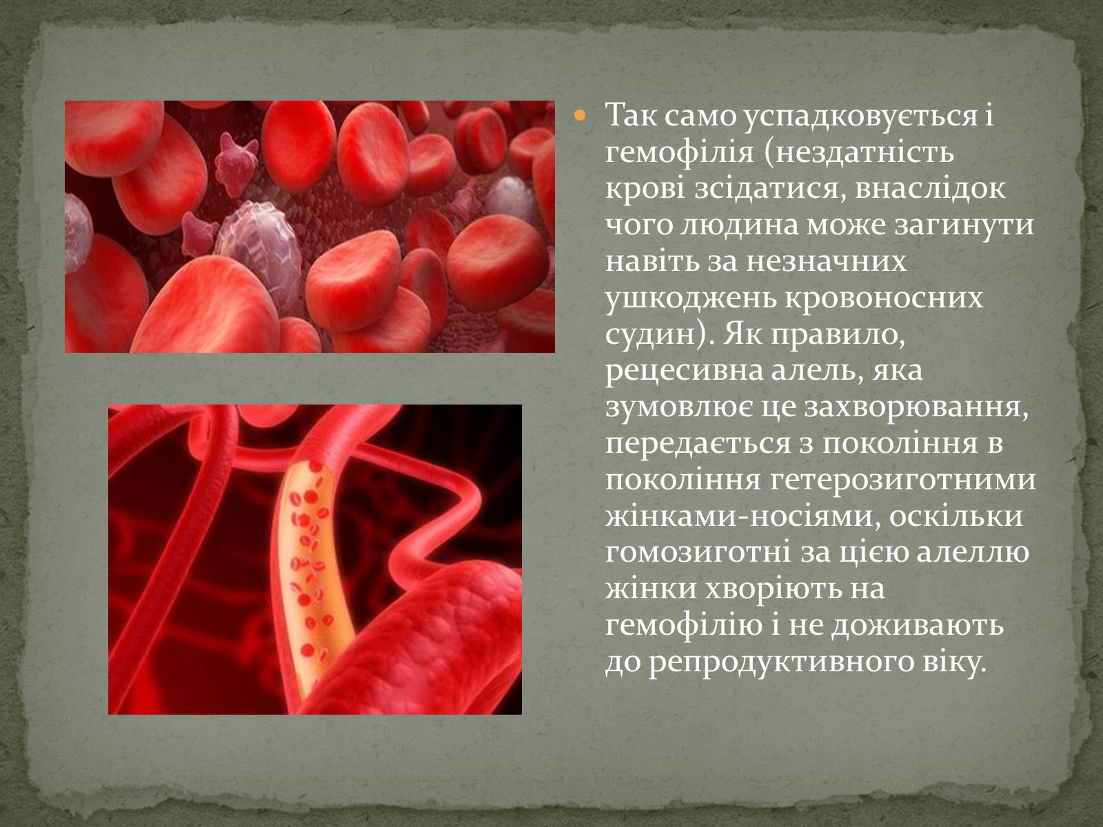 Презентація на тему «Визначення статі різних організмів» - Слайд #12