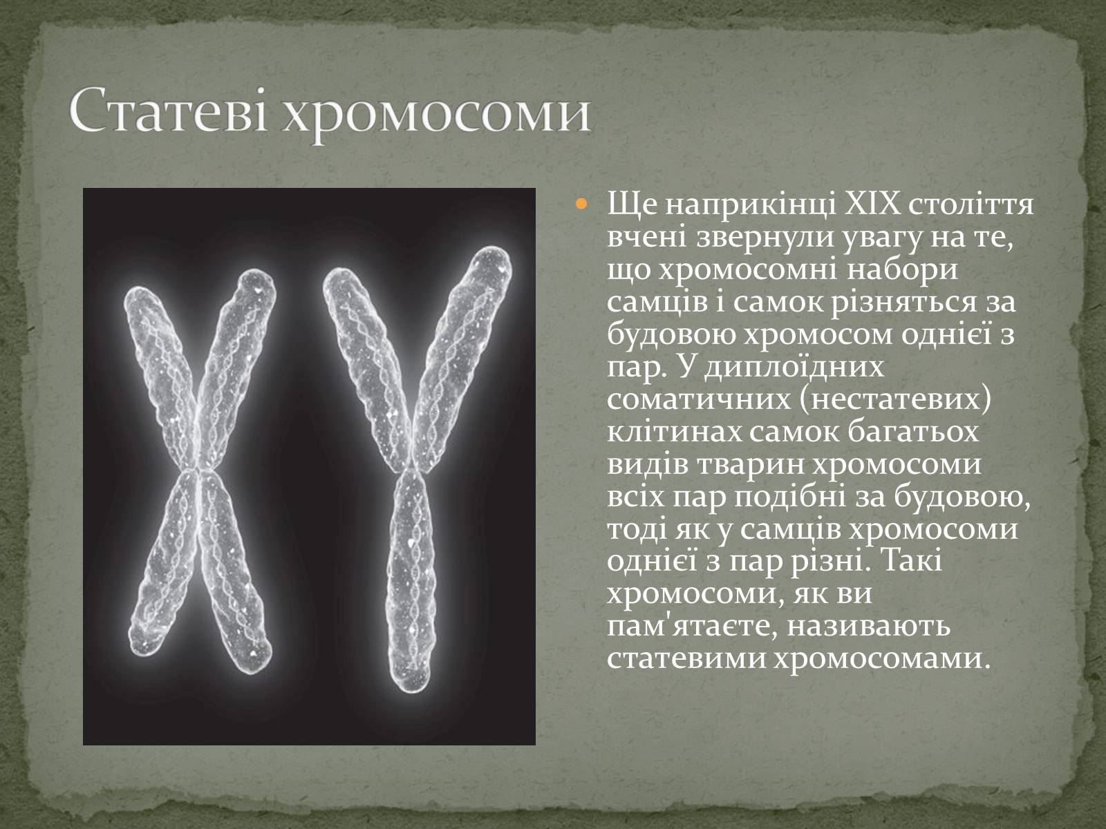 Презентація на тему «Визначення статі різних організмів» - Слайд #3