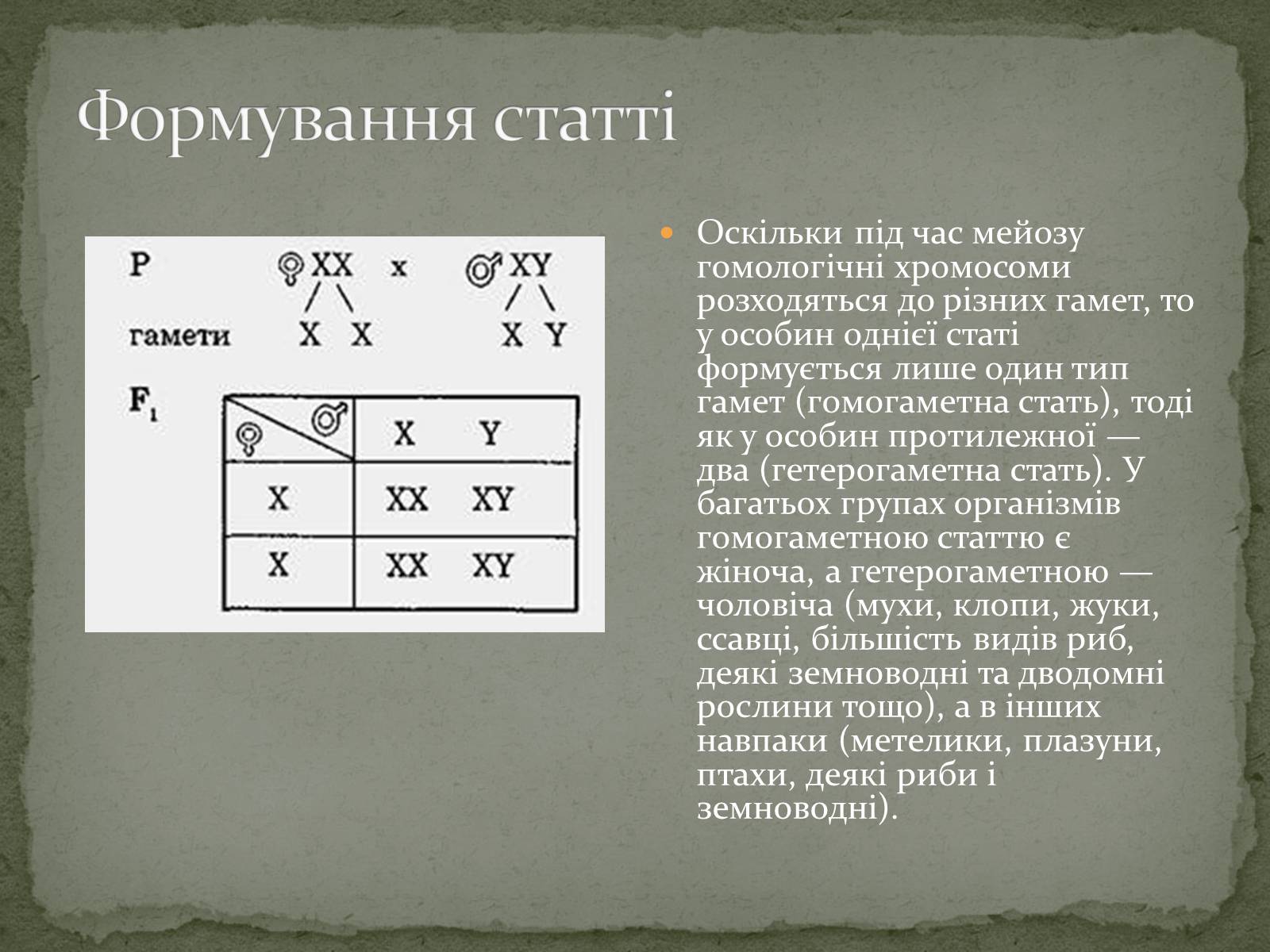 Презентація на тему «Визначення статі різних організмів» - Слайд #4