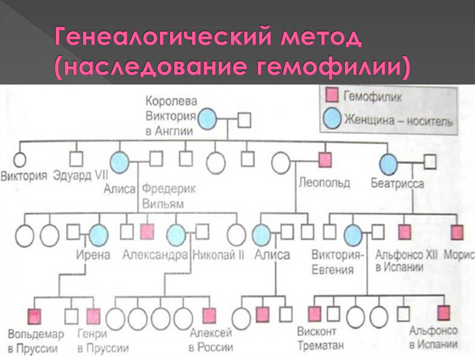 Презентація на тему «Медицинская генетика» - Слайд #4