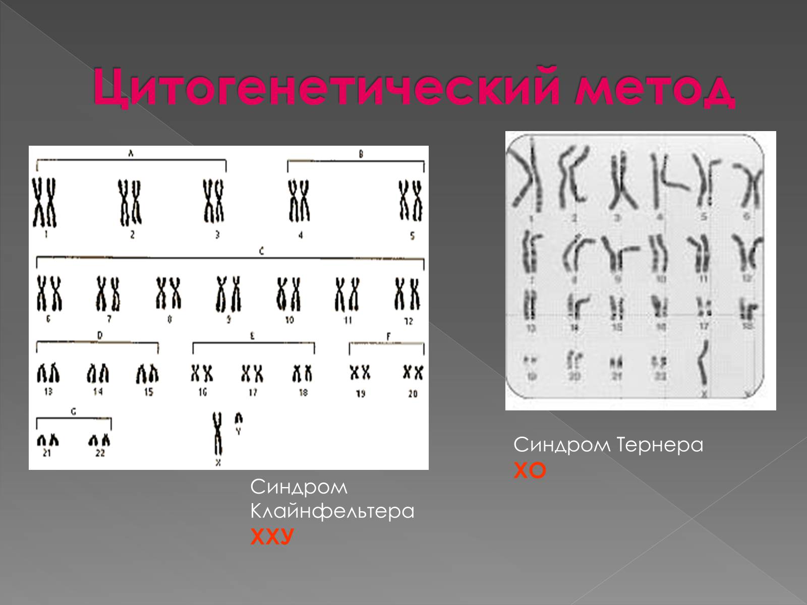 Презентація на тему «Медицинская генетика» - Слайд #7