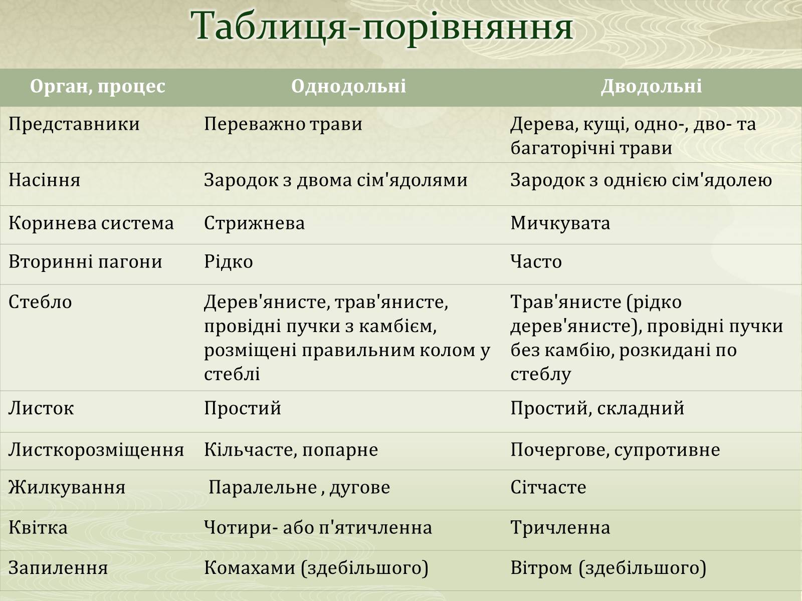 Презентація на тему «Класифікаця покирітонасінних» - Слайд #9