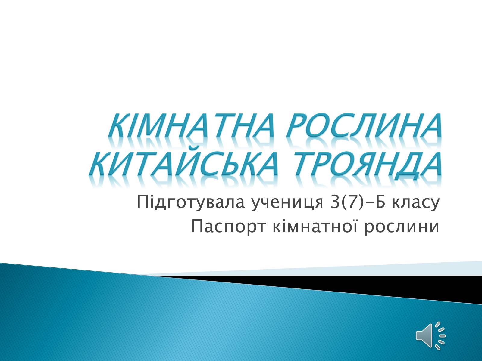 Презентація на тему «Кімнатна рослина китайська троянда» - Слайд #1