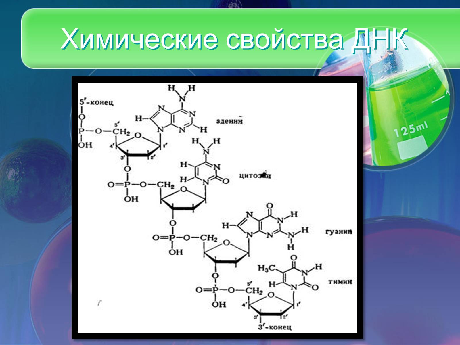 Презентація на тему «Нуклеїнові кислоти» (варіант 8) - Слайд #10