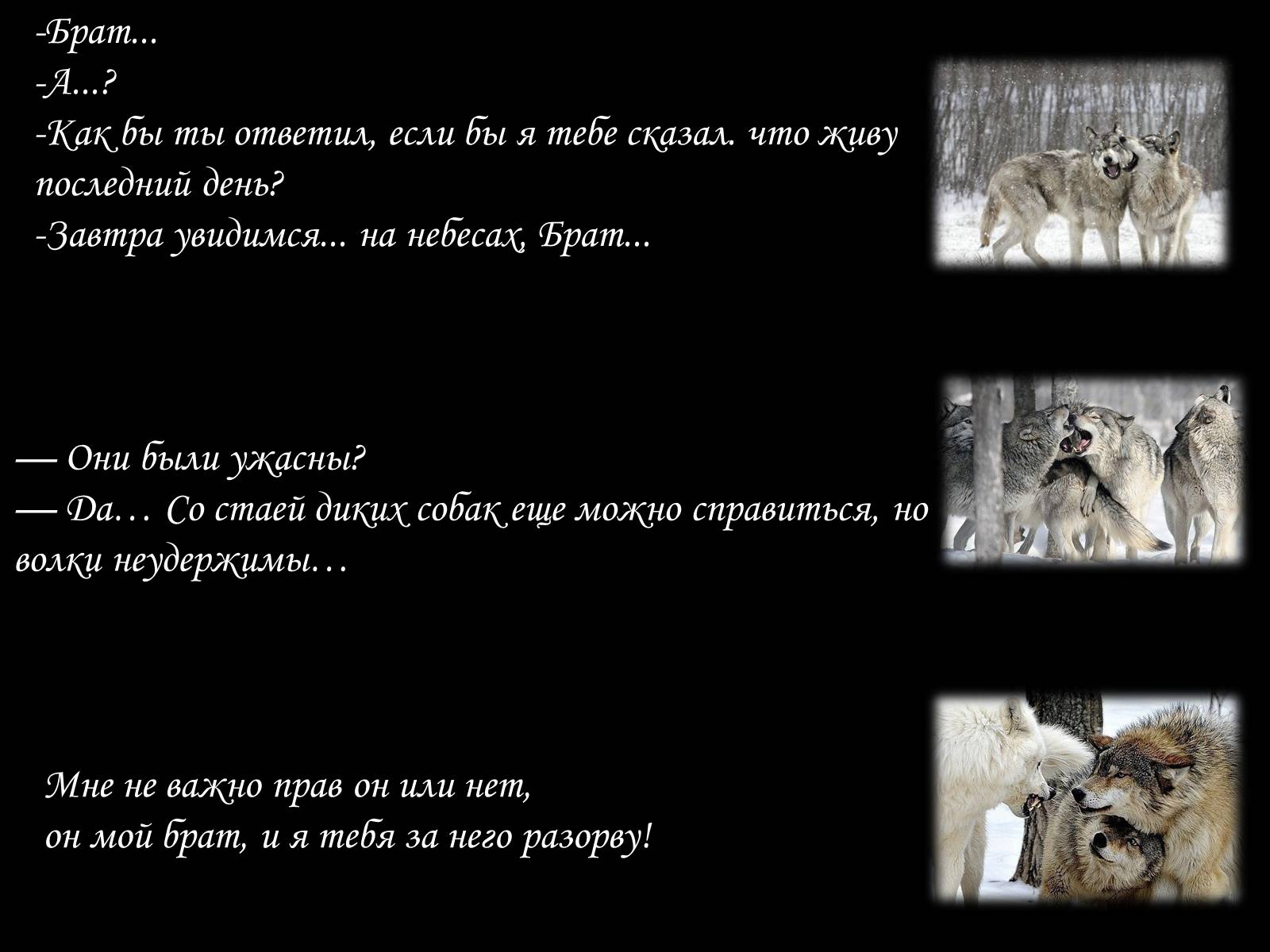 Презентація на тему «По волчьей тропе людскими шагами» - Слайд #2