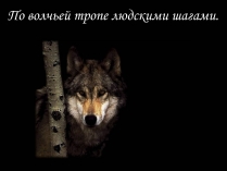 Презентація на тему «По волчьей тропе людскими шагами»