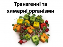 Презентація на тему «Транзгенні та химерні організми»