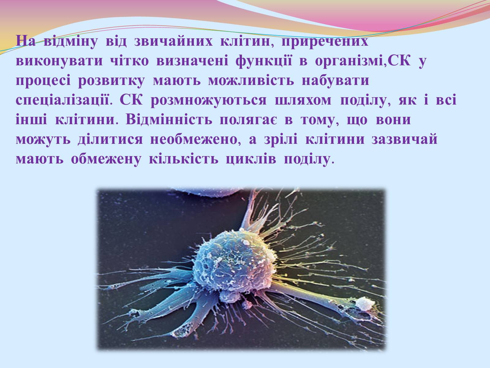 Презентація на тему «Клонування і ембріотехнології» (варіант 2) - Слайд #6