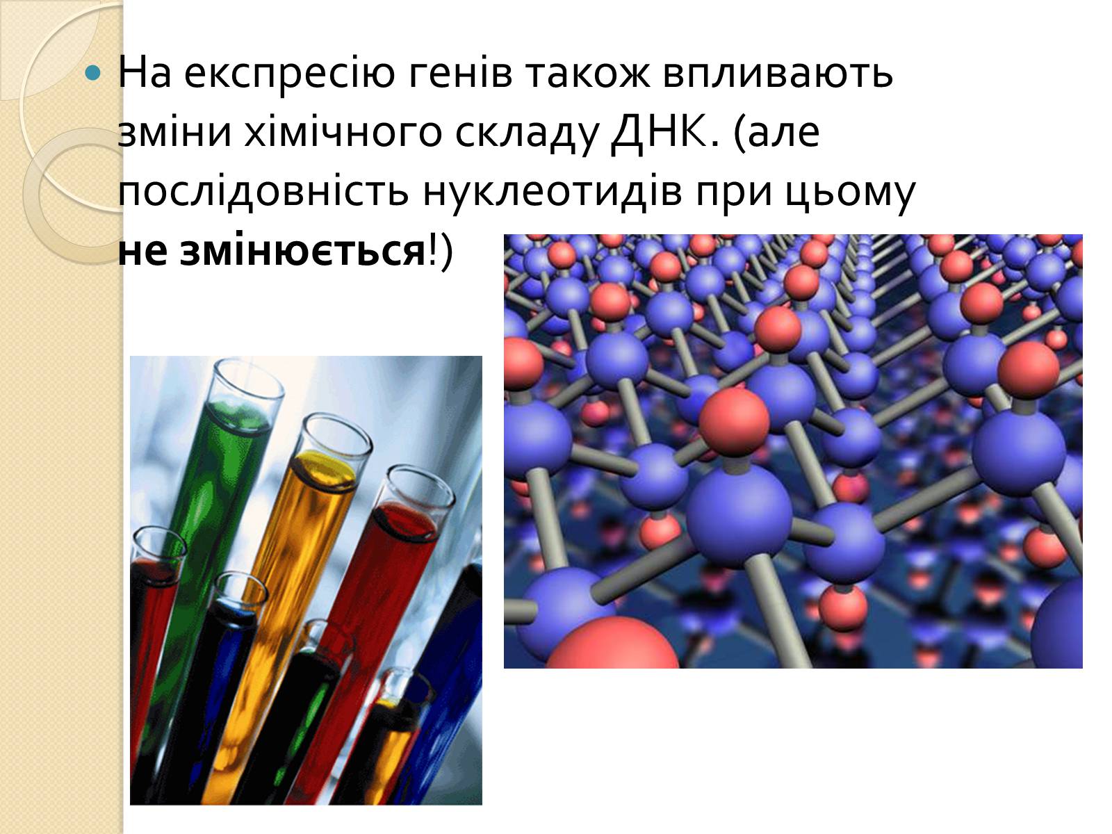 Презентація на тему «Основні закономірності функціонування генів у про – та еукаріотів» (варіант 3) - Слайд #21