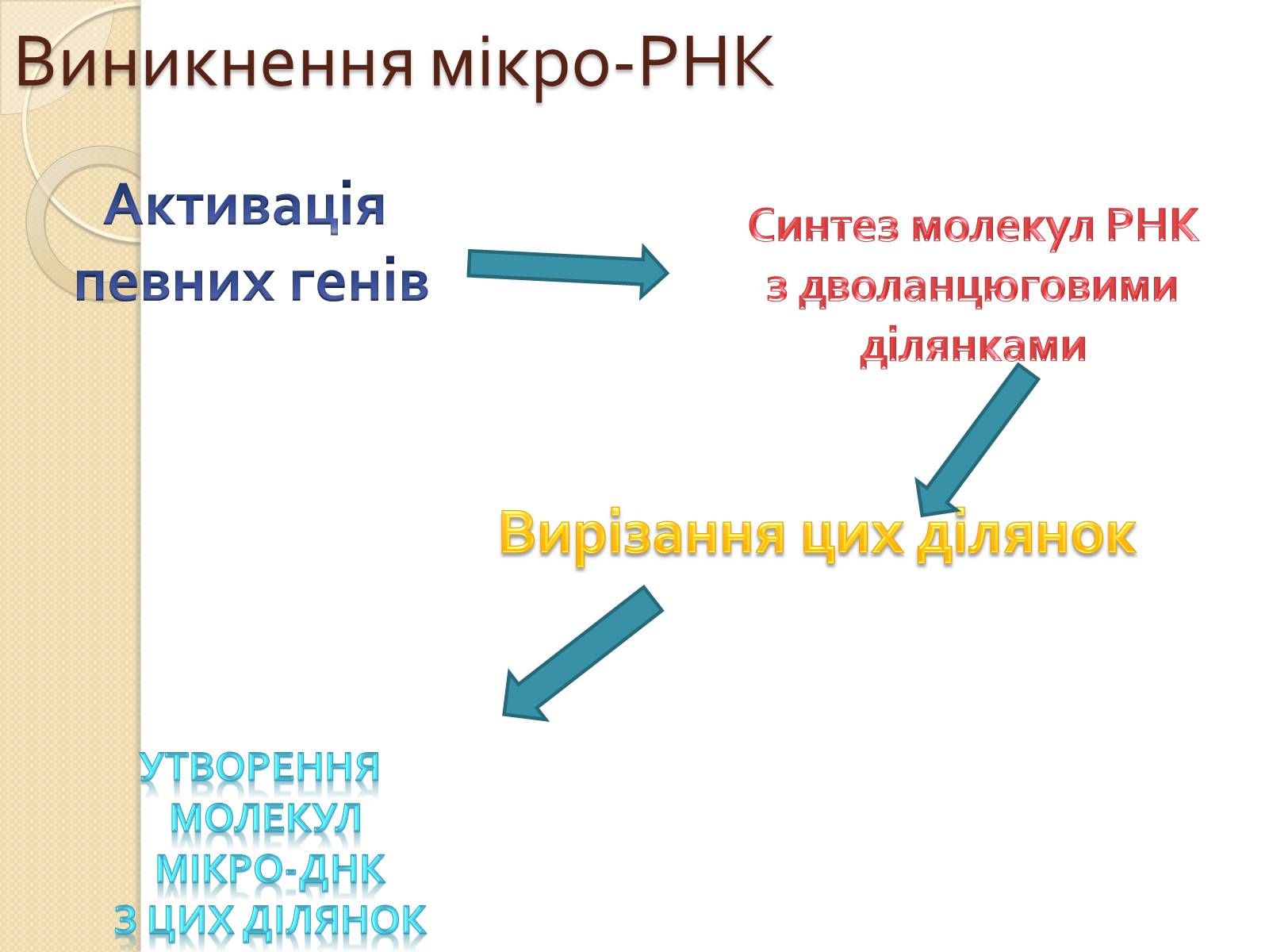 Презентація на тему «Основні закономірності функціонування генів у про – та еукаріотів» (варіант 3) - Слайд #25