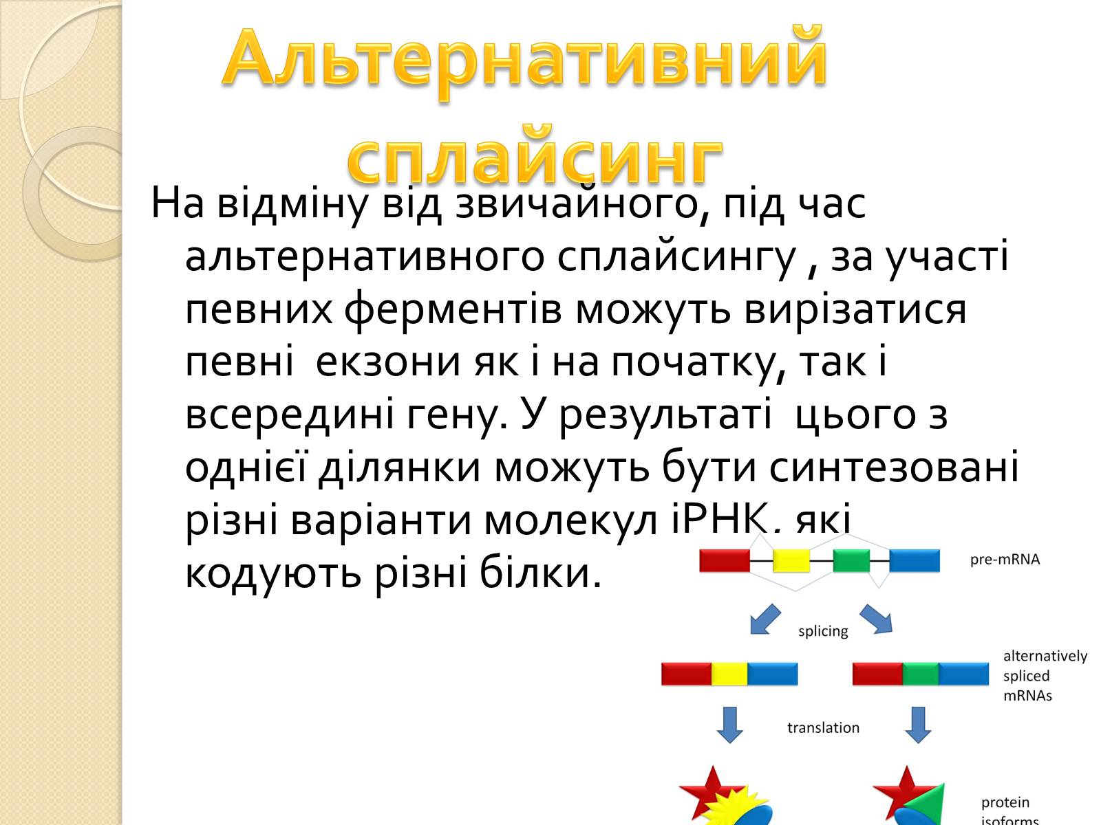 Презентація на тему «Основні закономірності функціонування генів у про – та еукаріотів» (варіант 3) - Слайд #31