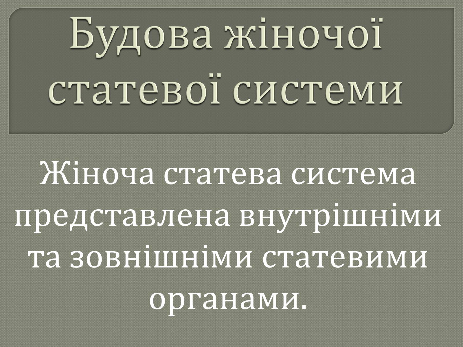 Презентація на тему «Будова жіночої статевої системи» - Слайд #1