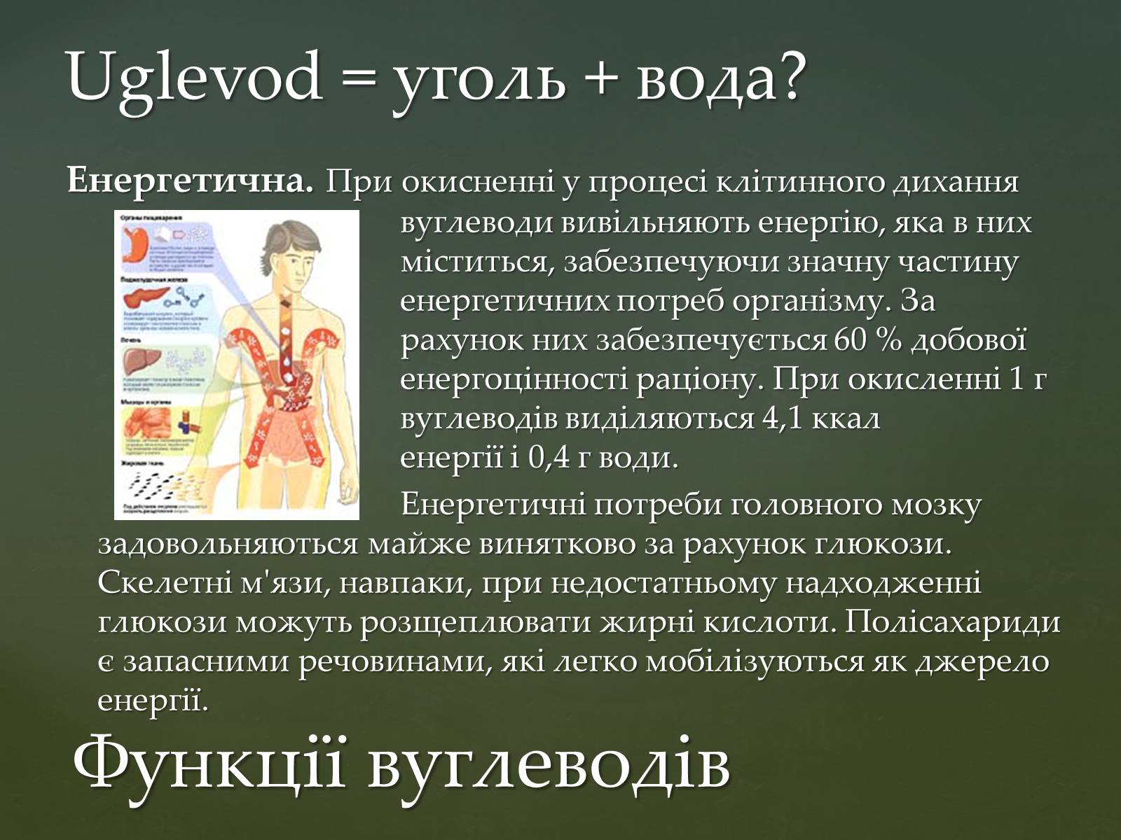 Презентація на тему «Вуглеводи як компоненти їжі, їх роль у житті людини» (варіант 31) - Слайд #11