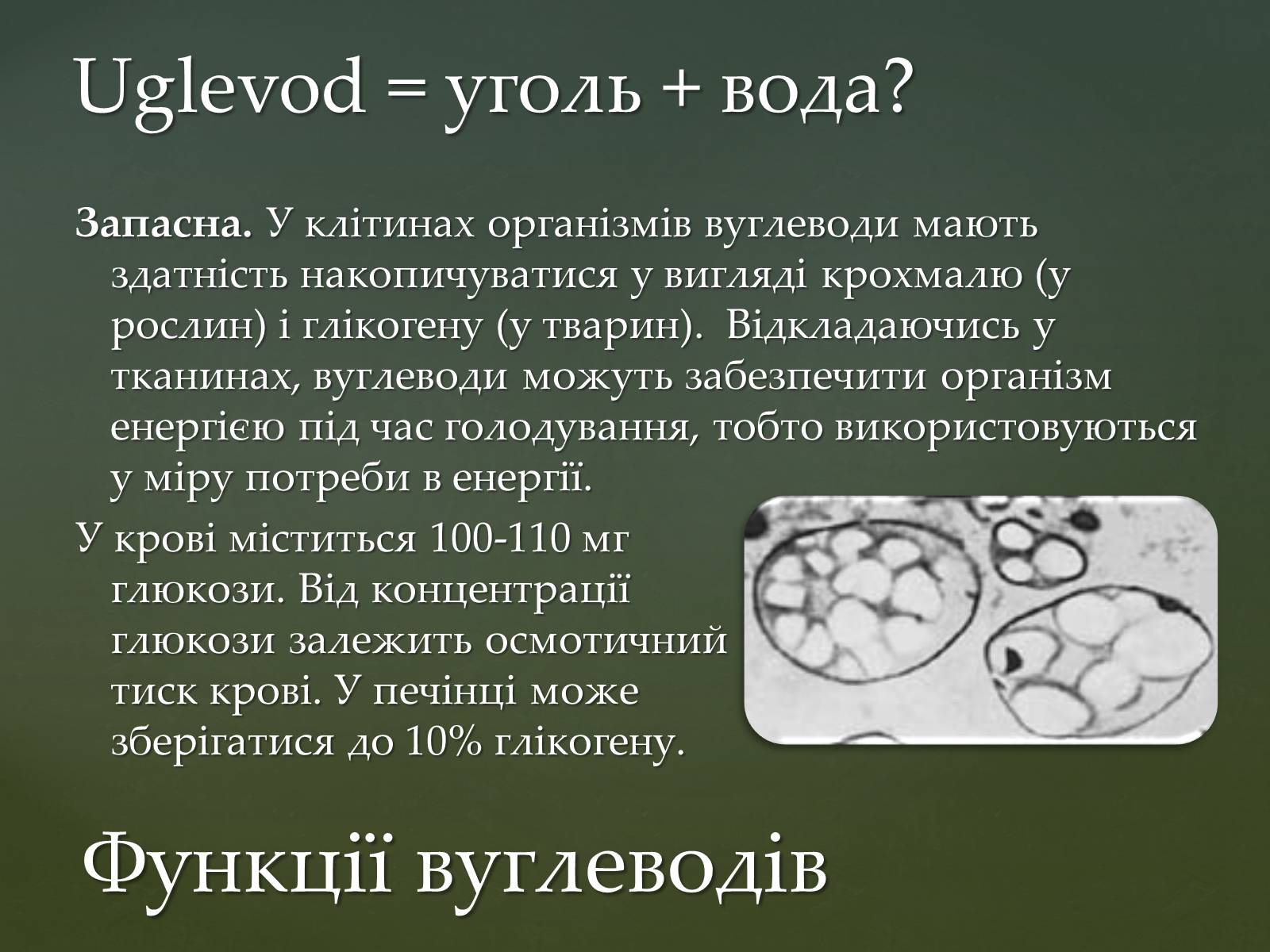 Презентація на тему «Вуглеводи як компоненти їжі, їх роль у житті людини» (варіант 31) - Слайд #14