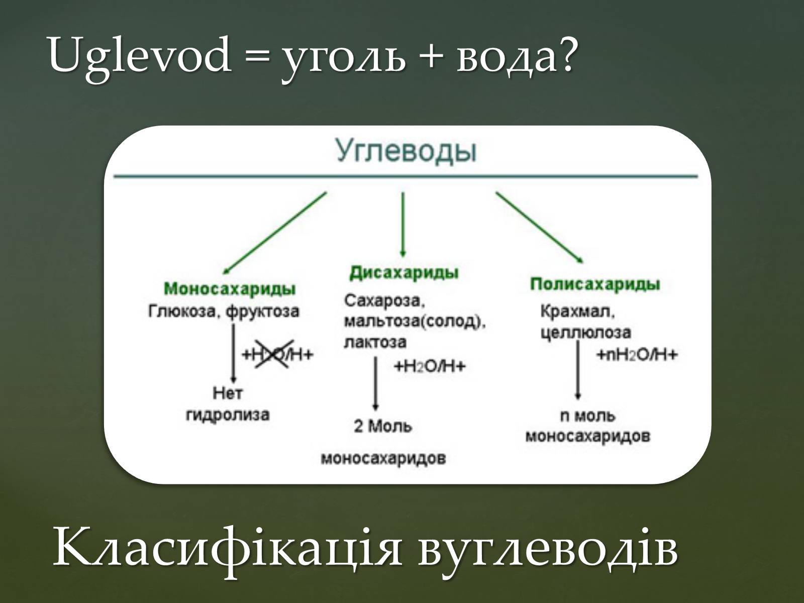 Презентація на тему «Вуглеводи як компоненти їжі, їх роль у житті людини» (варіант 31) - Слайд #6