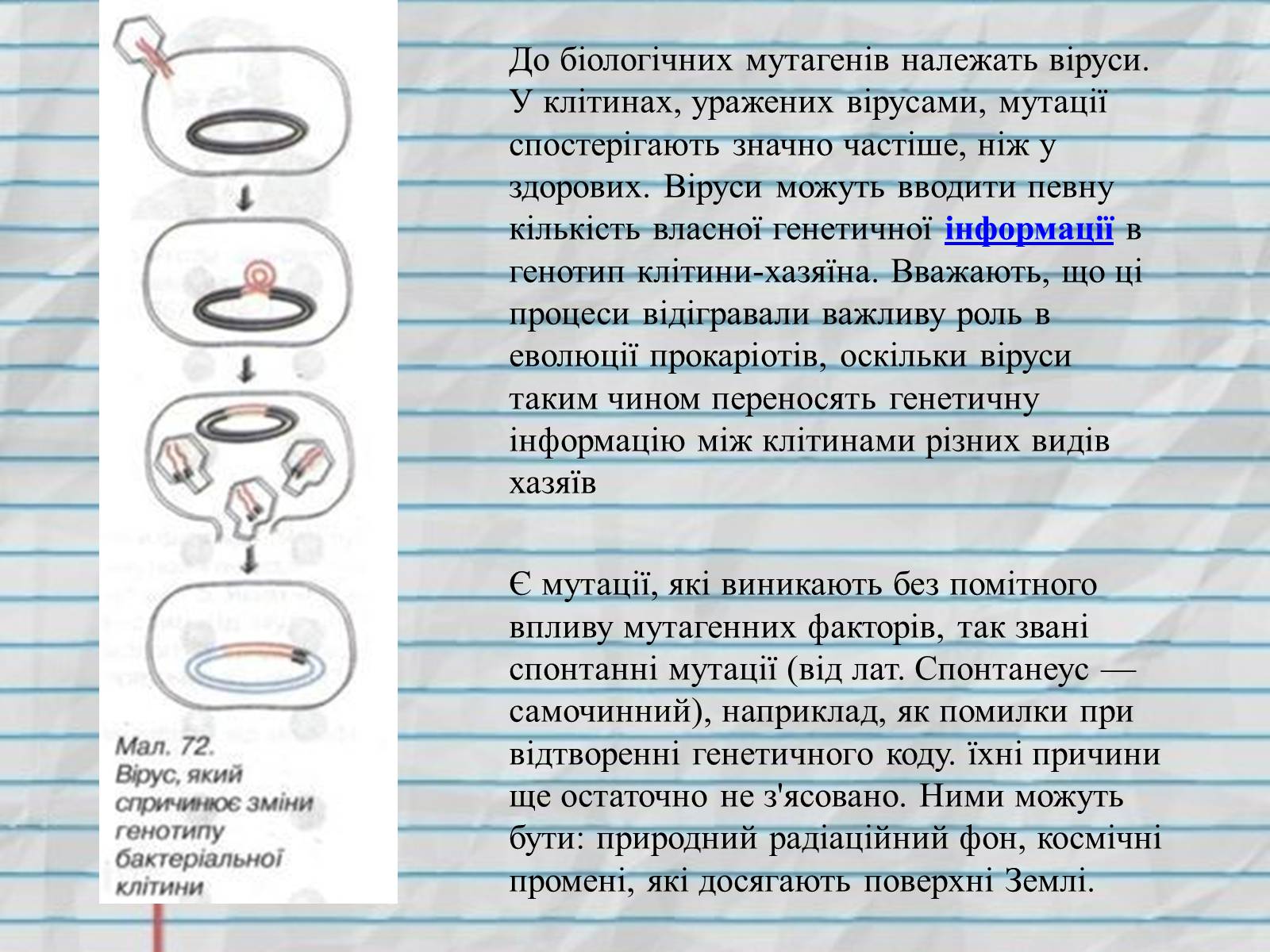 Презентація на тему «Причини мутацій. Модифікаційна мінливість» - Слайд #5