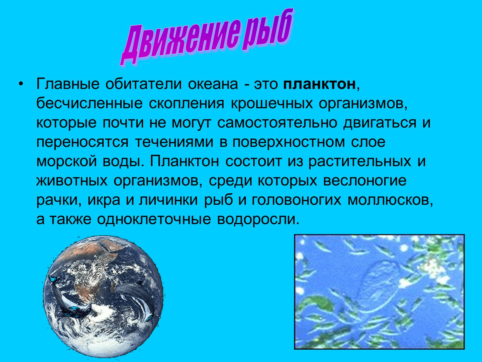 Укажите среду водных. Задачи проекта на тему обитатели океана. Поверхностный слой морской воды. Вывод о планктоне. Составить сказку на тему водная среда.