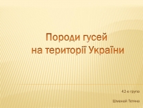 Презентація на тему «Породи гусей на території України»