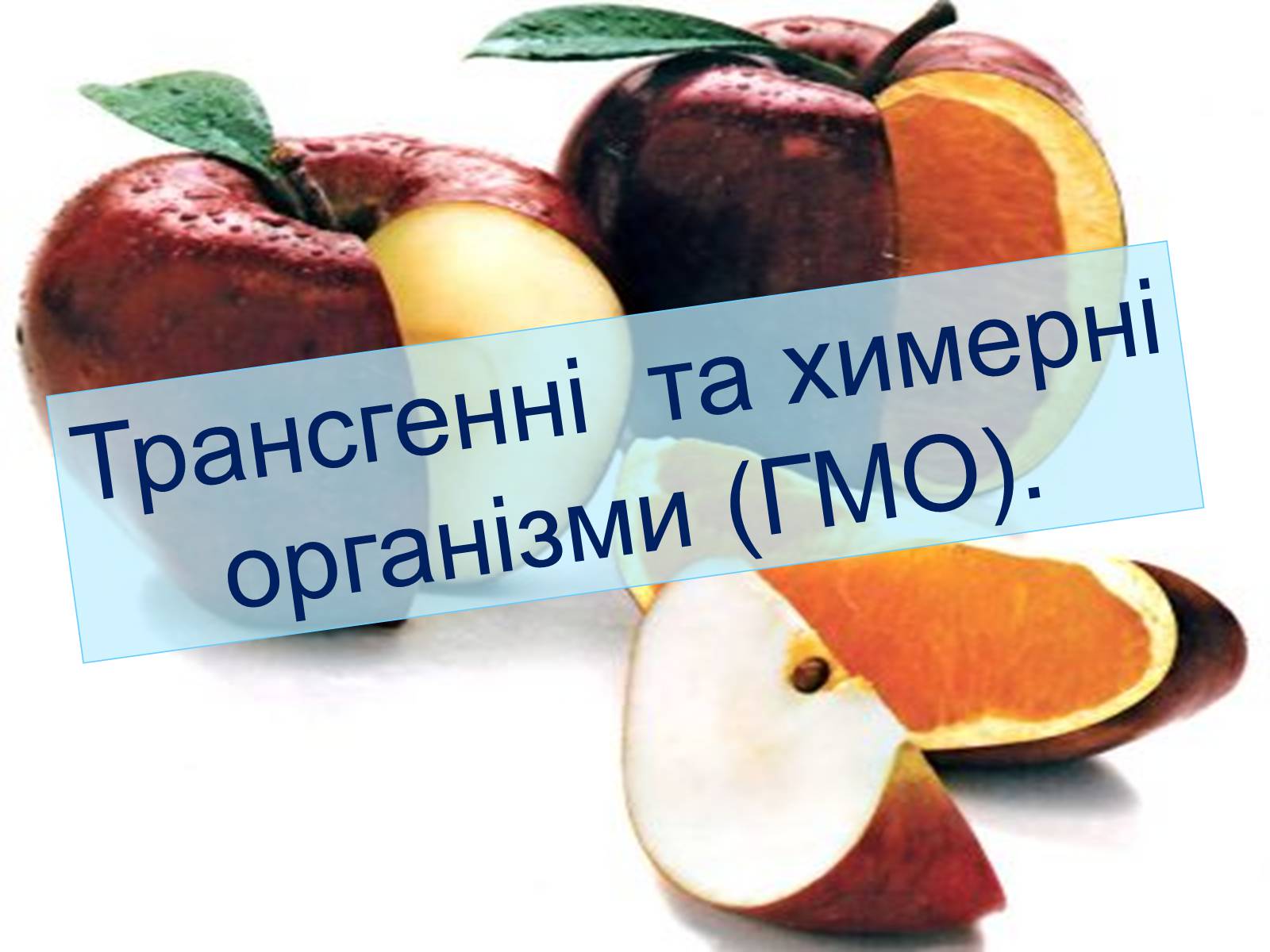 Презентація на тему «Трансгенні та химерні організми» (варіант 4) - Слайд #1