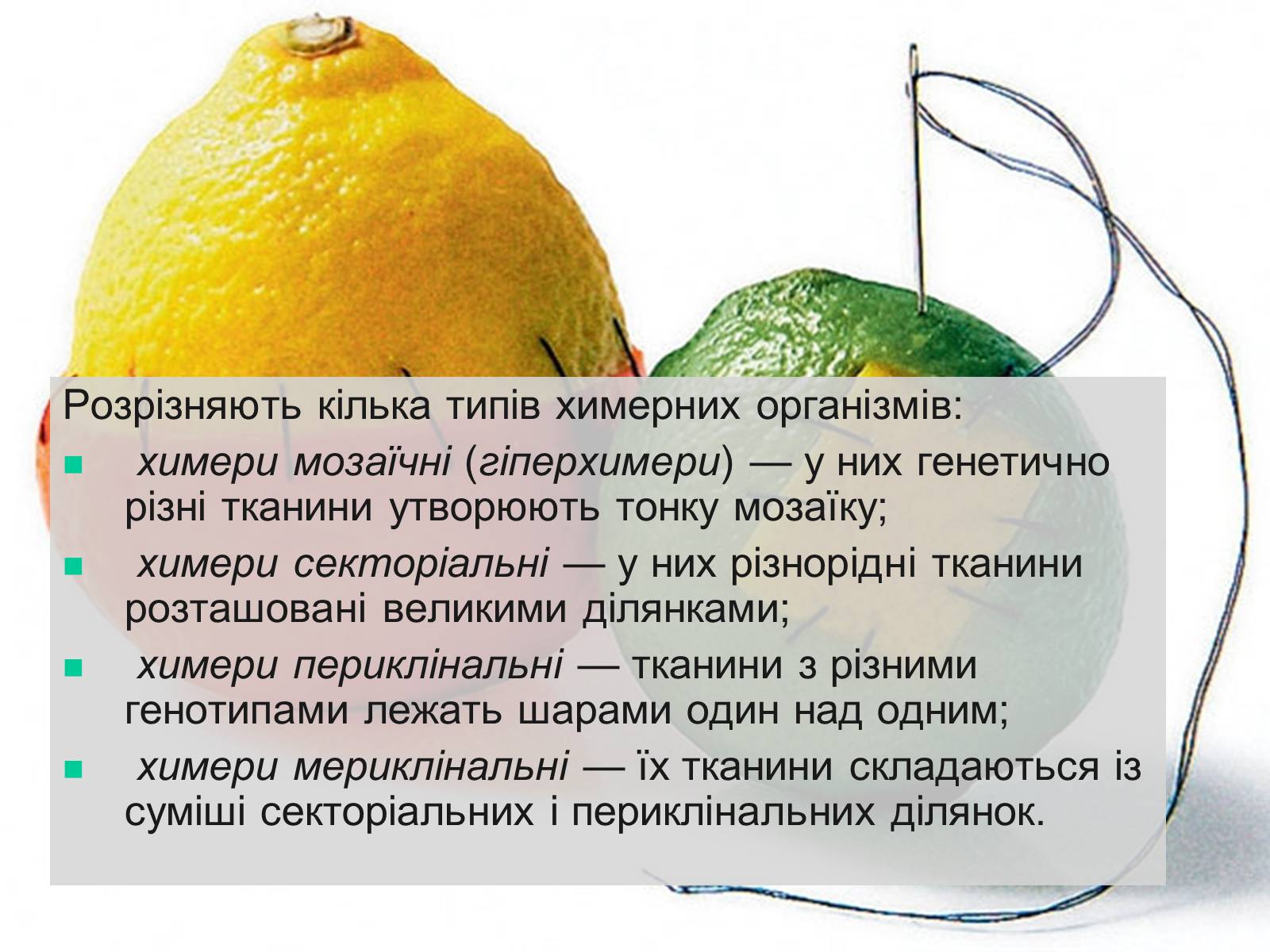 Презентація на тему «Трансгенні та химерні організми» (варіант 4) - Слайд #16