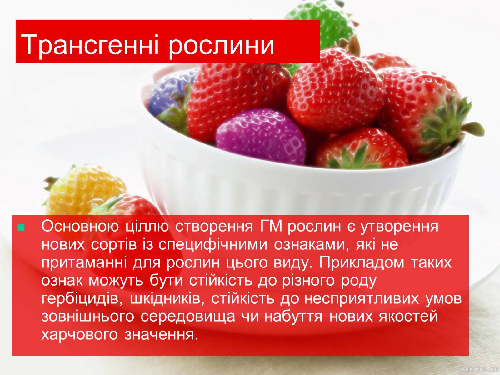 Презентація на тему «Трансгенні та химерні організми» (варіант 4) - Слайд #8