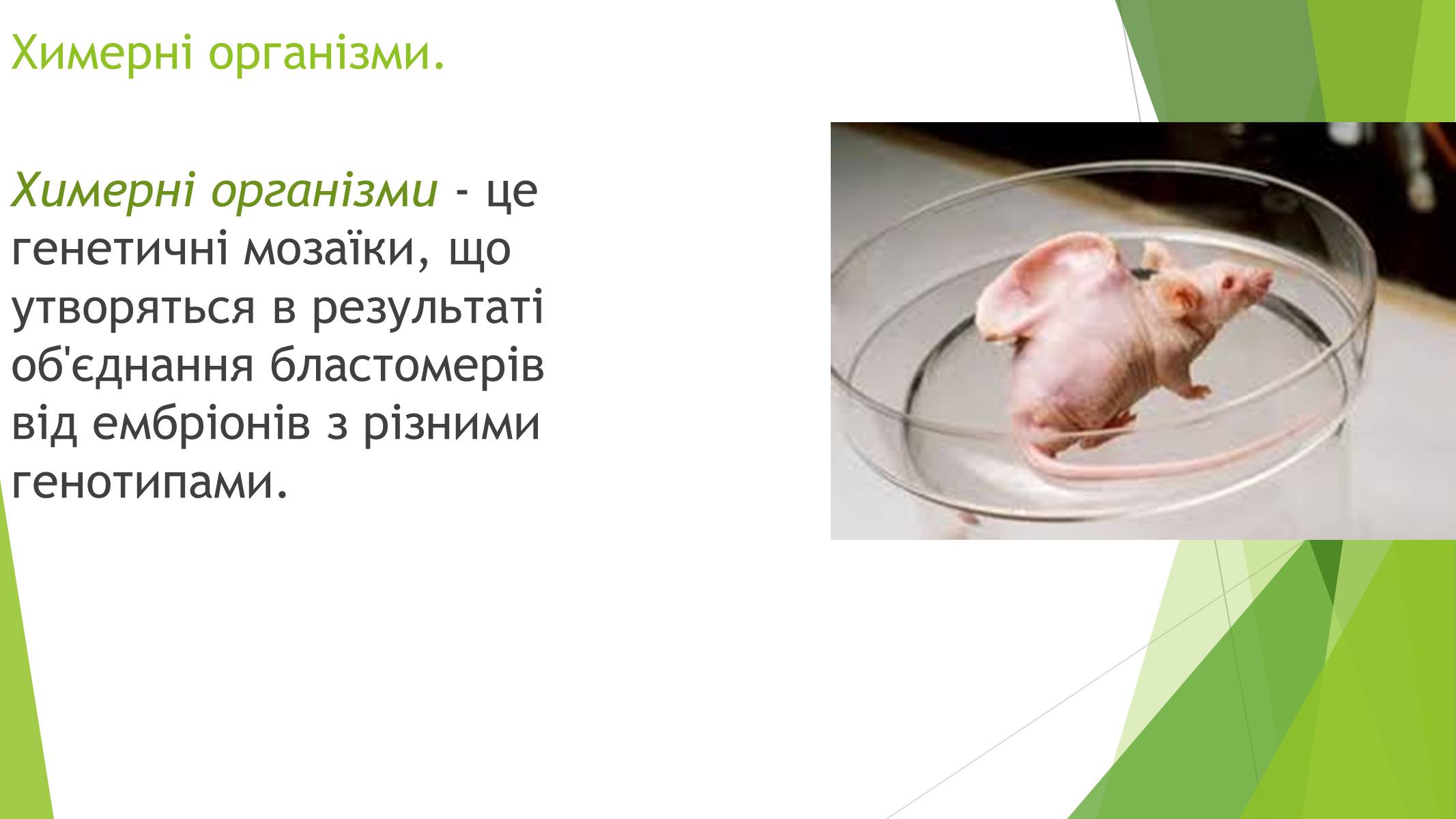 Презентація на тему «Основні напрями сучасної біотехнології» - Слайд #10