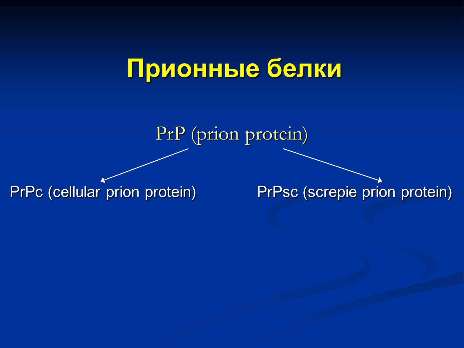 Презентація на тему «Вирусология» - Слайд #21