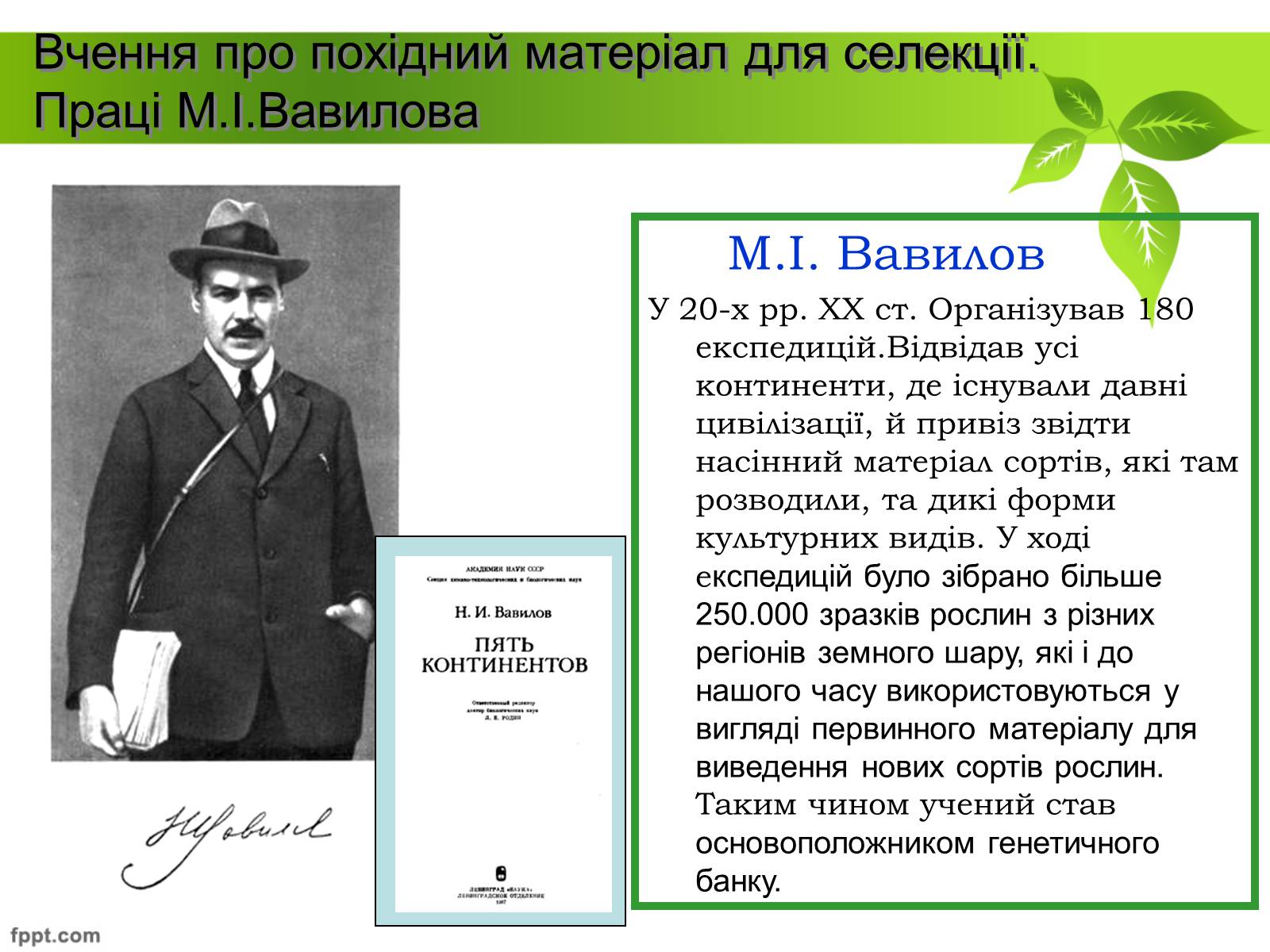 Презентація на тему «Генетичні основи селекції рослин» (варіант 1) - Слайд #7