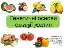 Презентація на тему «Генетичні основи селекції рослин» (варіант 1)