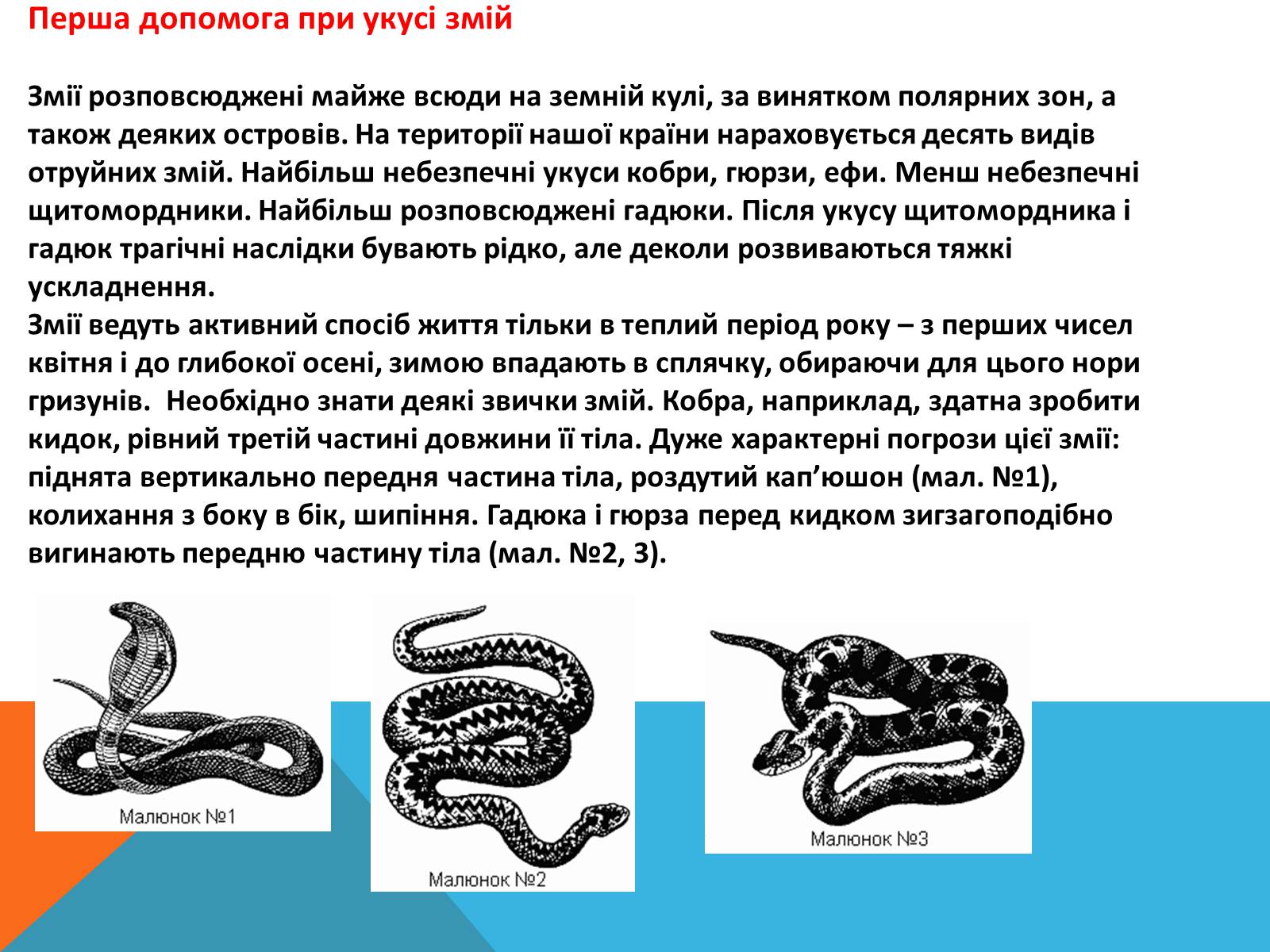 Презентація на тему «Перша допомога при отруэннях і укусах» - Слайд #4