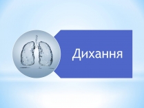 Презентація на тему «Дихання» (варіант 1)