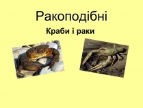 Презентація на тему «Ракоподібні» (варіант 3)