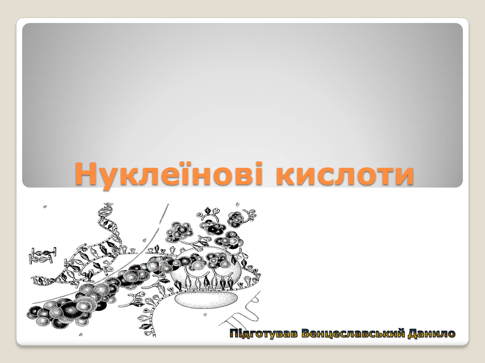 Презентація на тему «Нуклеїнові кислоти» (варіант 7) - Слайд #1