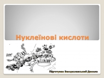 Презентація на тему «Нуклеїнові кислоти» (варіант 7)