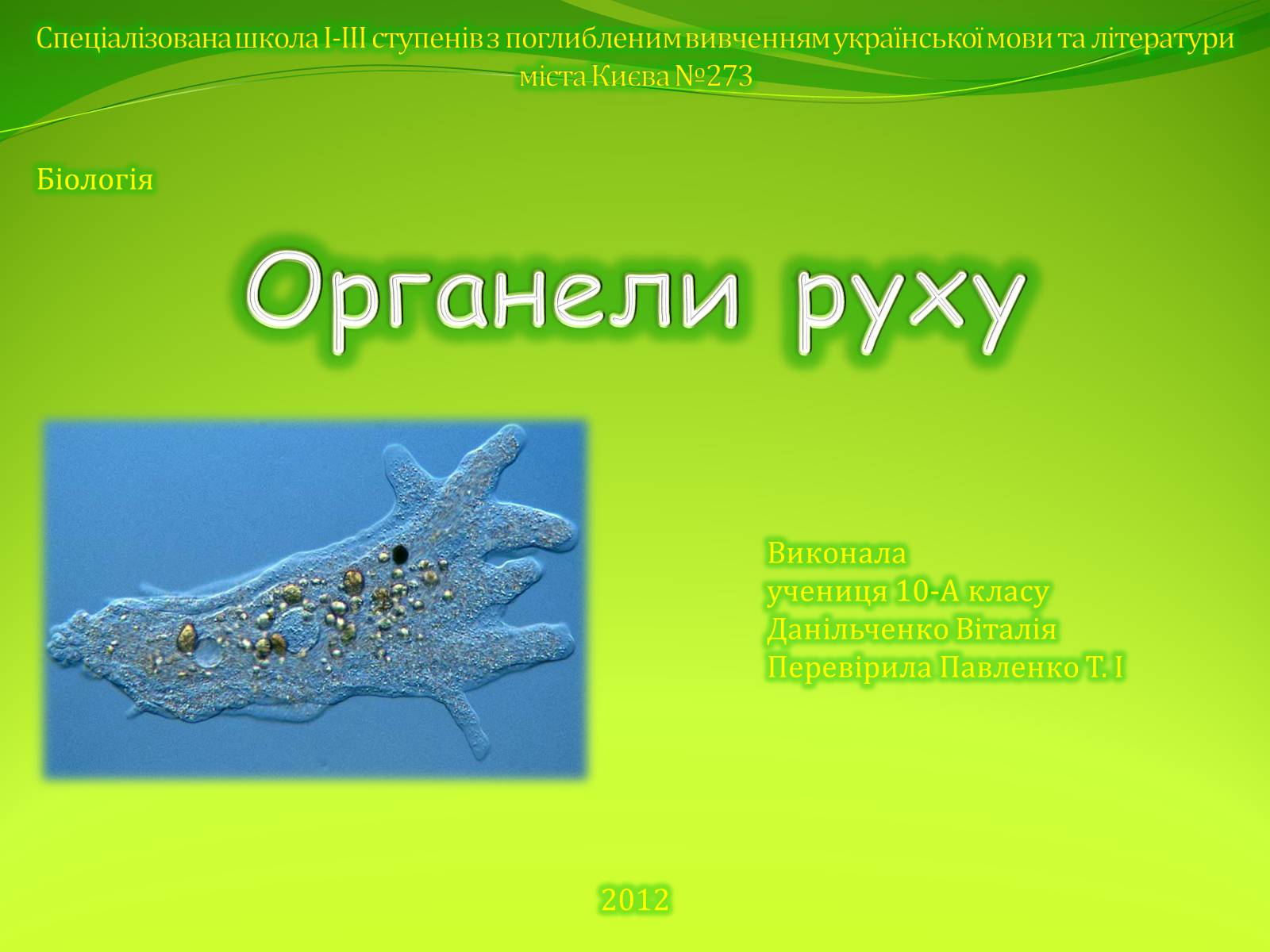 Презентація на тему «Органели руху» - Слайд #1