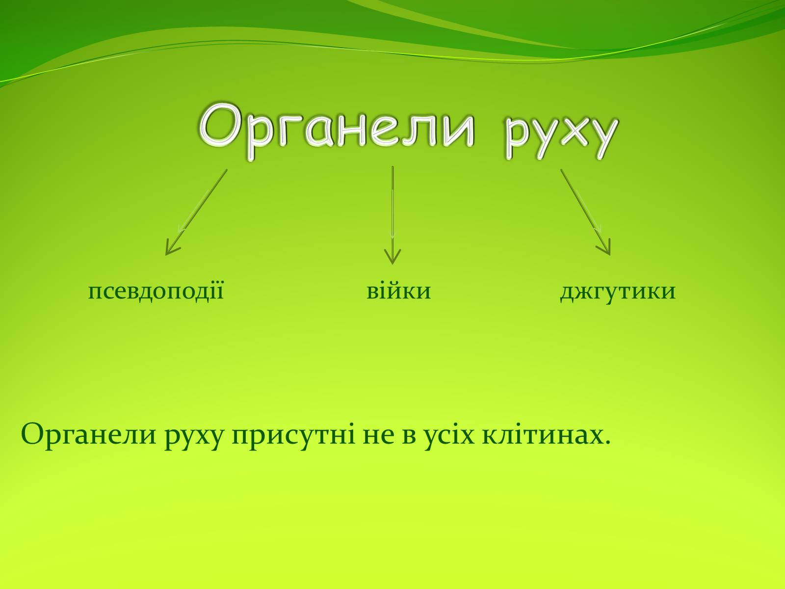 Презентація на тему «Органели руху» - Слайд #3