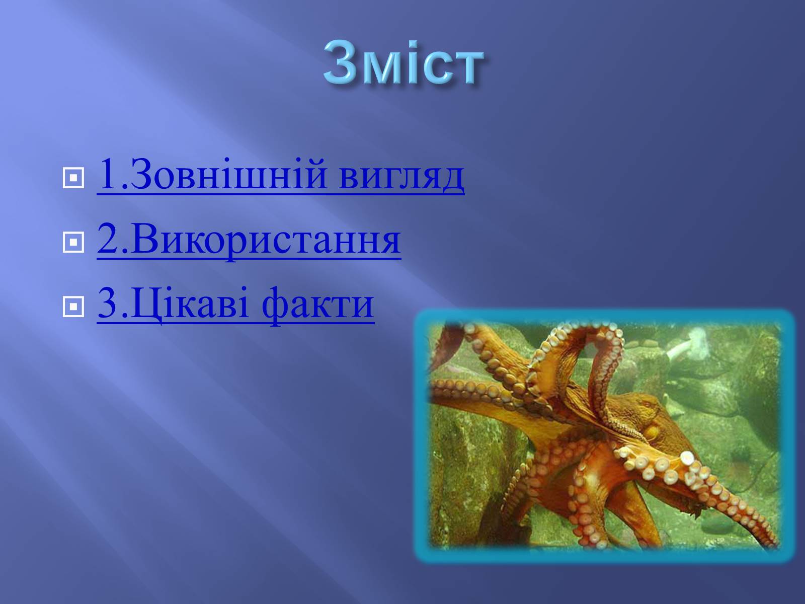 Презентація на тему «Чим цікаві Кальмари» - Слайд #2