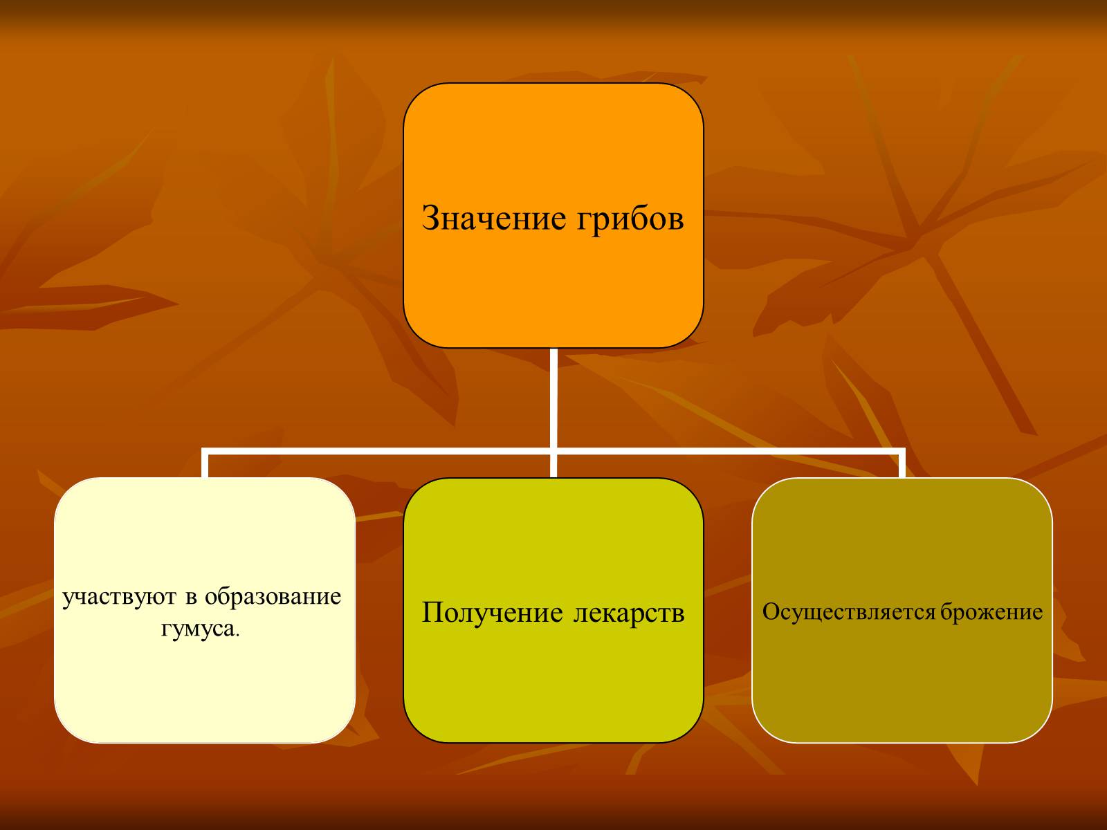 Презентація на тему «Царство грибы» (варіант 1) - Слайд #8