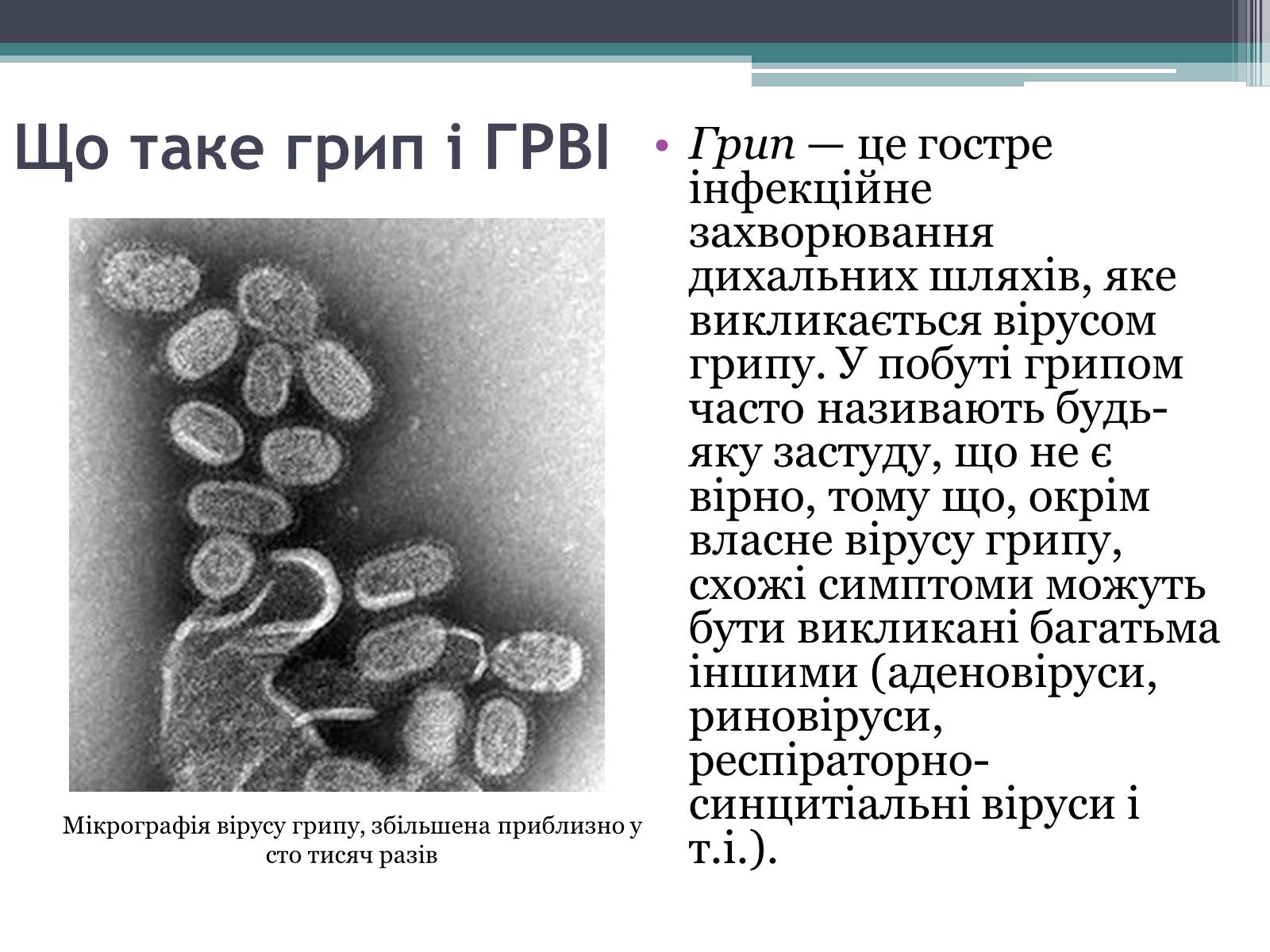 Презентація на тему «Вірус грипу» - Слайд #2