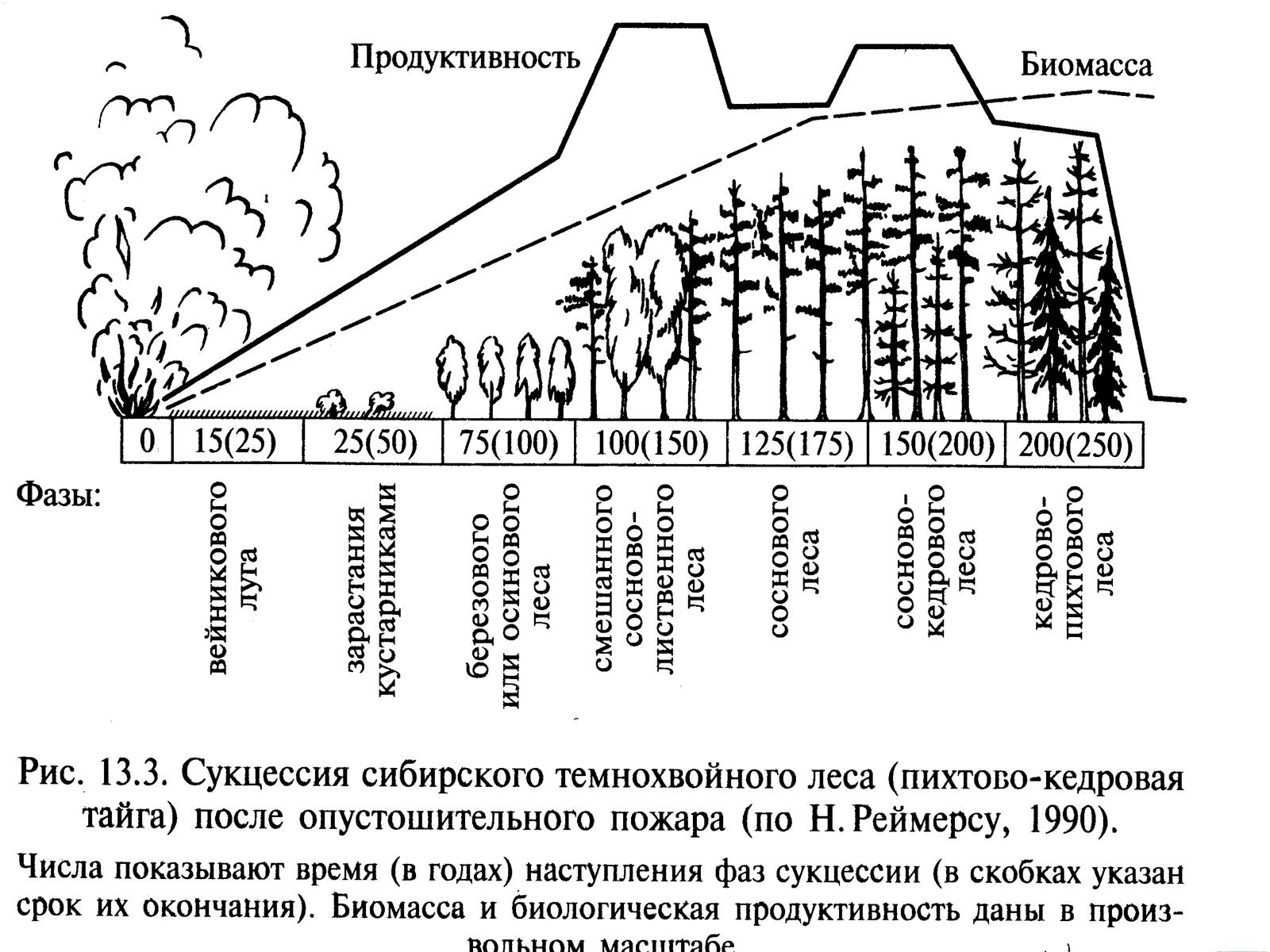 Прирост биомассы популяции щук