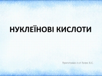 Презентація на тему «Нуклеїнові кислоти» (варіант 2)