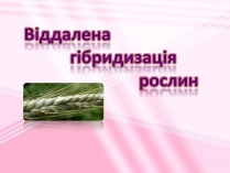 Презентація на тему «Віддалена гібридизація рослин»