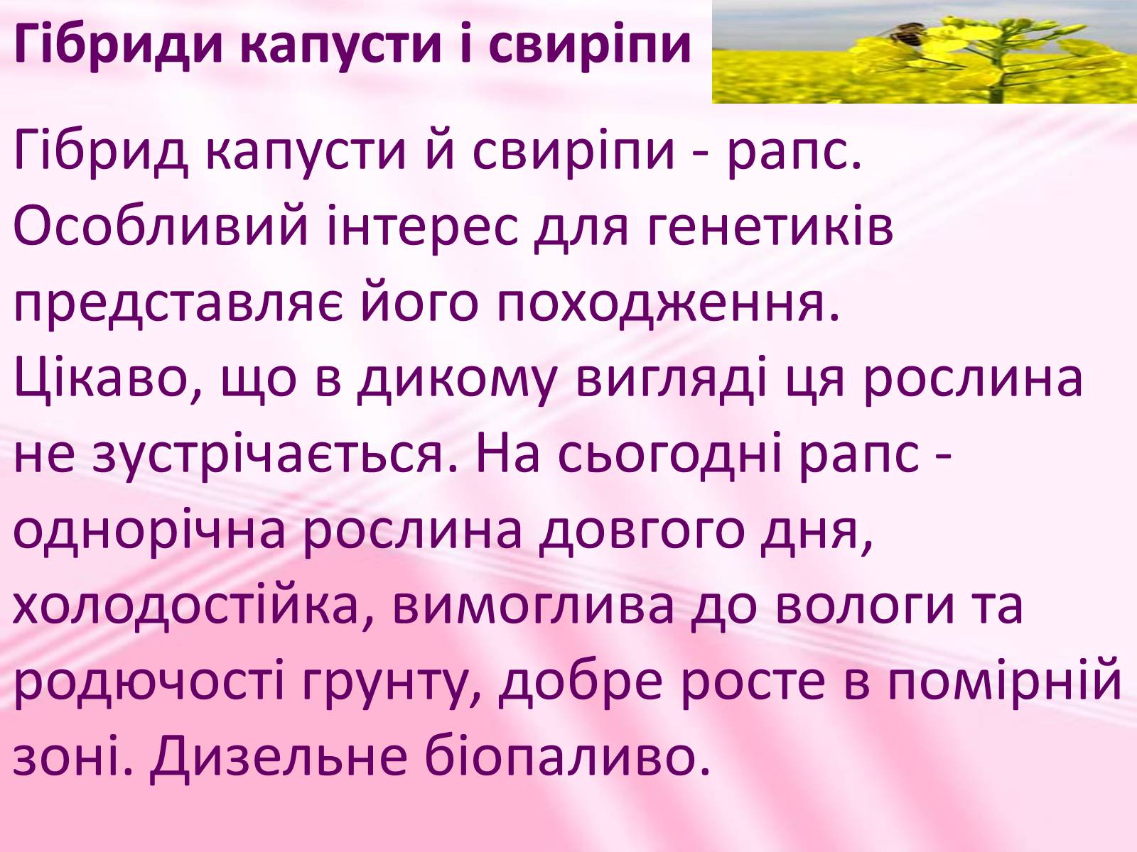 Презентація на тему «Віддалена гібридизація рослин» - Слайд #11