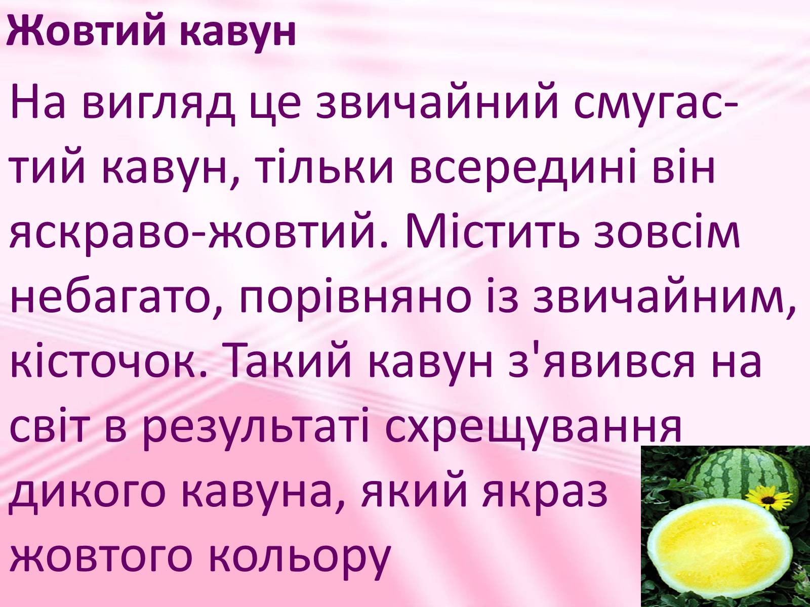 Презентація на тему «Віддалена гібридизація рослин» - Слайд #14