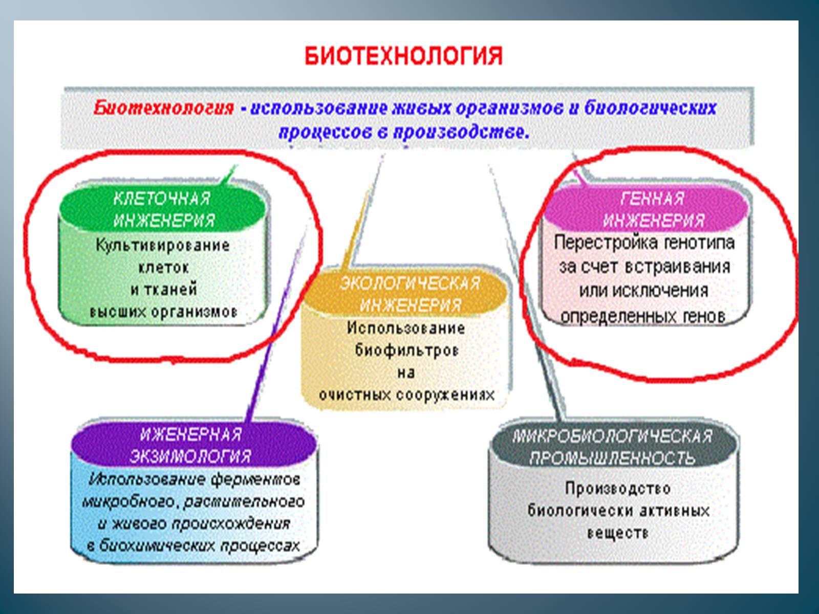 Презентація на тему «Биотехнология» - Слайд #2