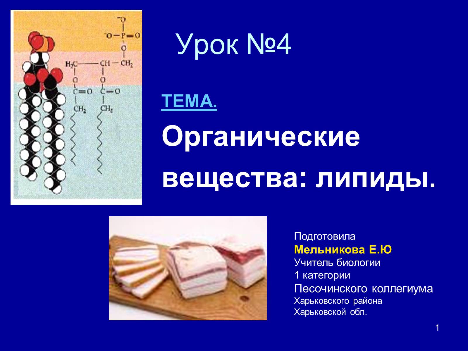 Презентація на тему «Органические вещества: липиды» - Слайд #1